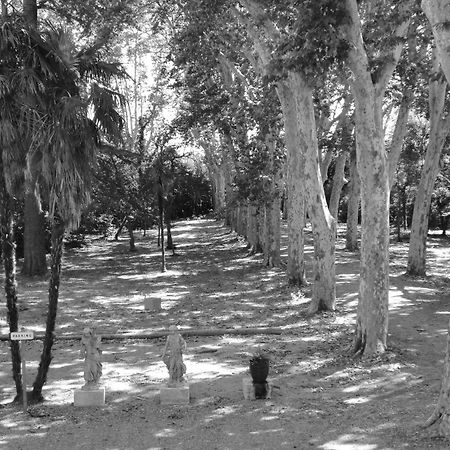 Chateau Rieutort Saint-Pargoire Εξωτερικό φωτογραφία