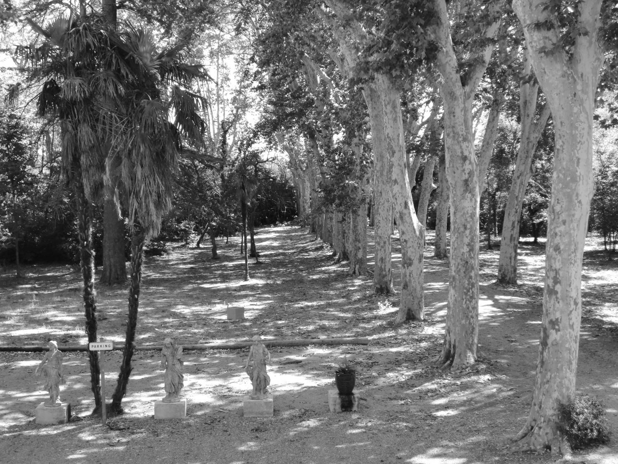 Chateau Rieutort Saint-Pargoire Εξωτερικό φωτογραφία