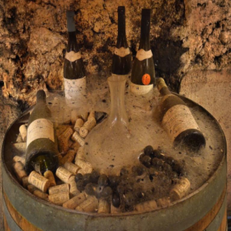 Chateau Rieutort Saint-Pargoire Εξωτερικό φωτογραφία